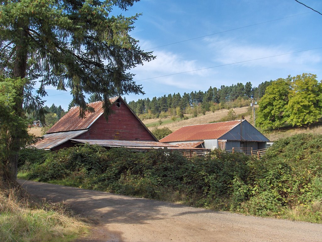 Backside of Old Barn by Fred Seghetti