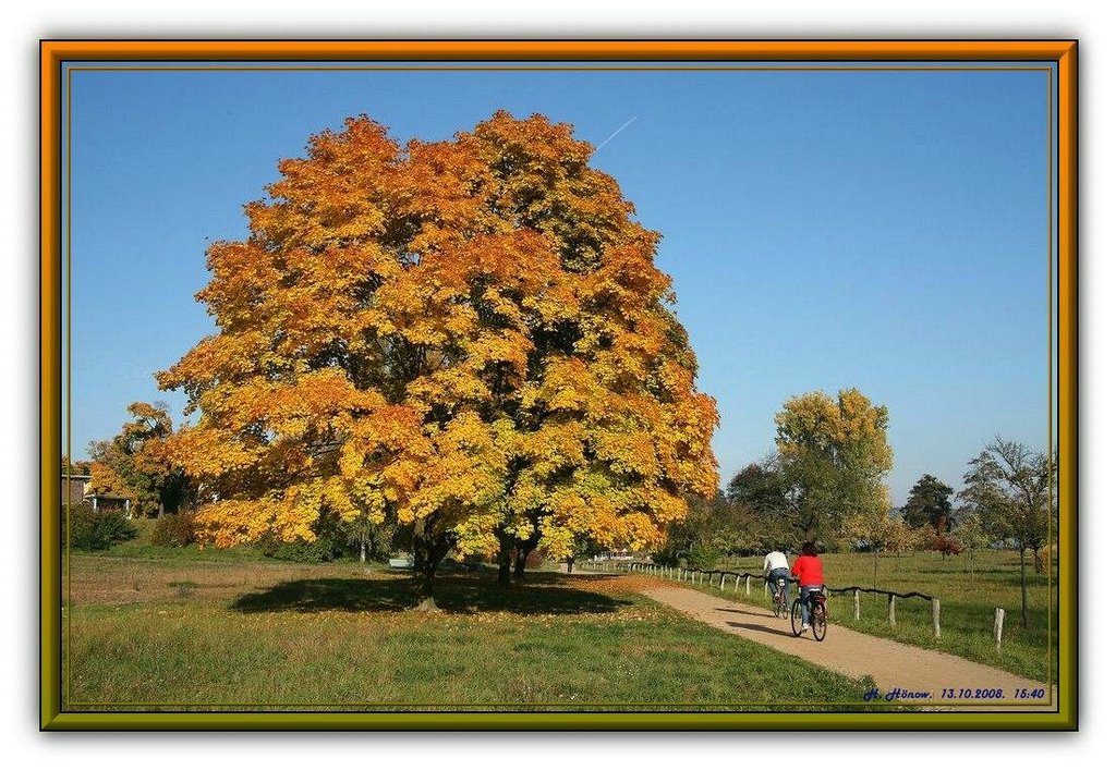 Herbstlaub im Gutspark Neu Kladow. by H. Hönow