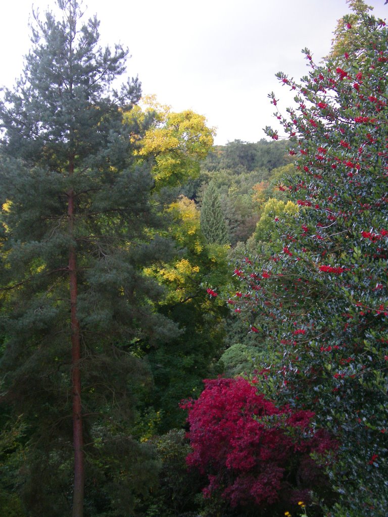 Herbstfarben, Bergpark Kassel by kasselatze