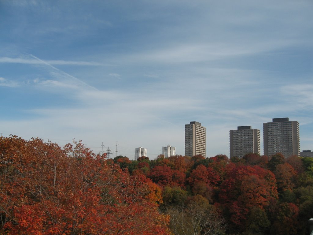 Flemingdon Park - October, 2008 by p_m_y