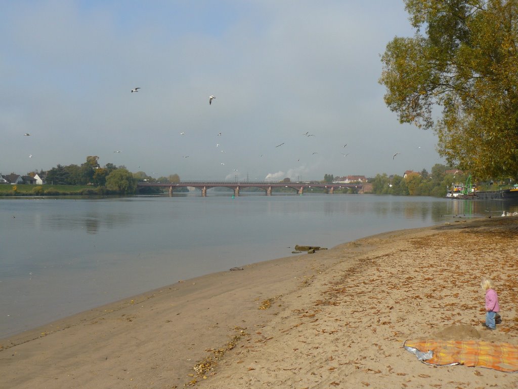 Am Neckar bei Ladenburg by Armin Silber