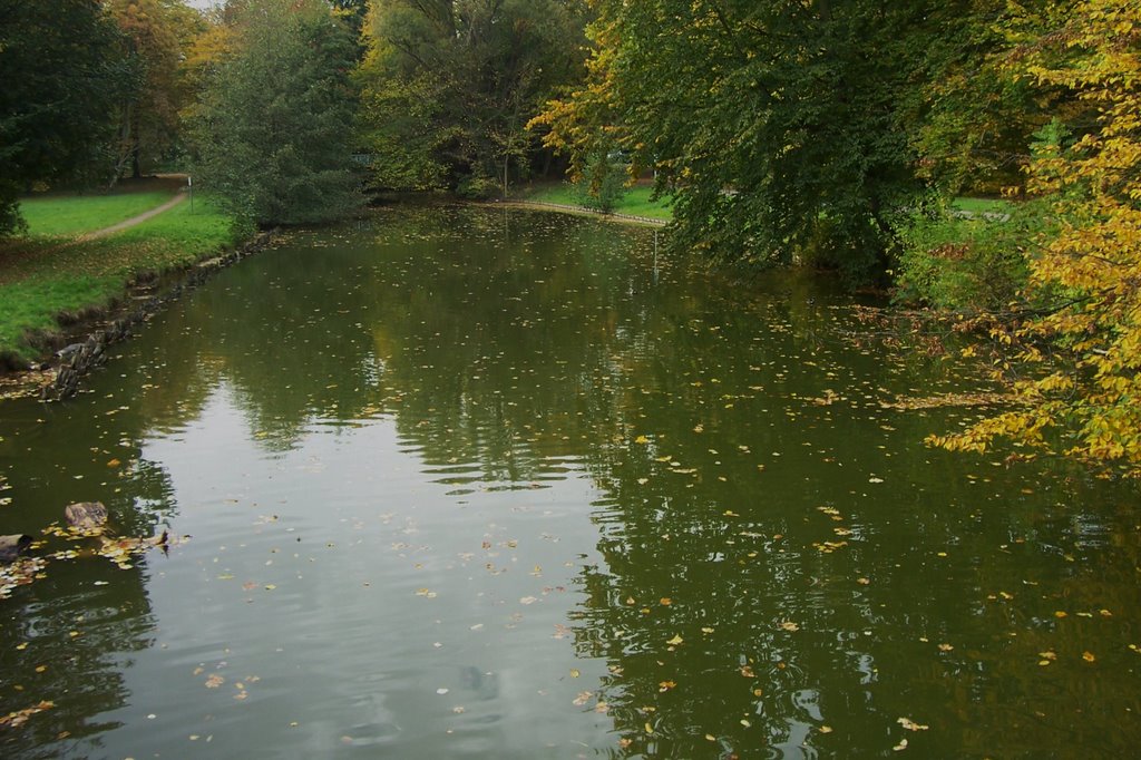 Kanal im Stadtwald by gerd j.