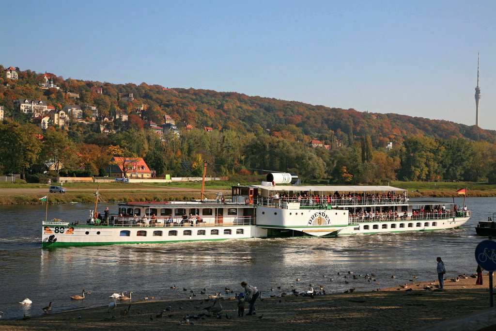 Dampfer auf der Elbe by ManMi