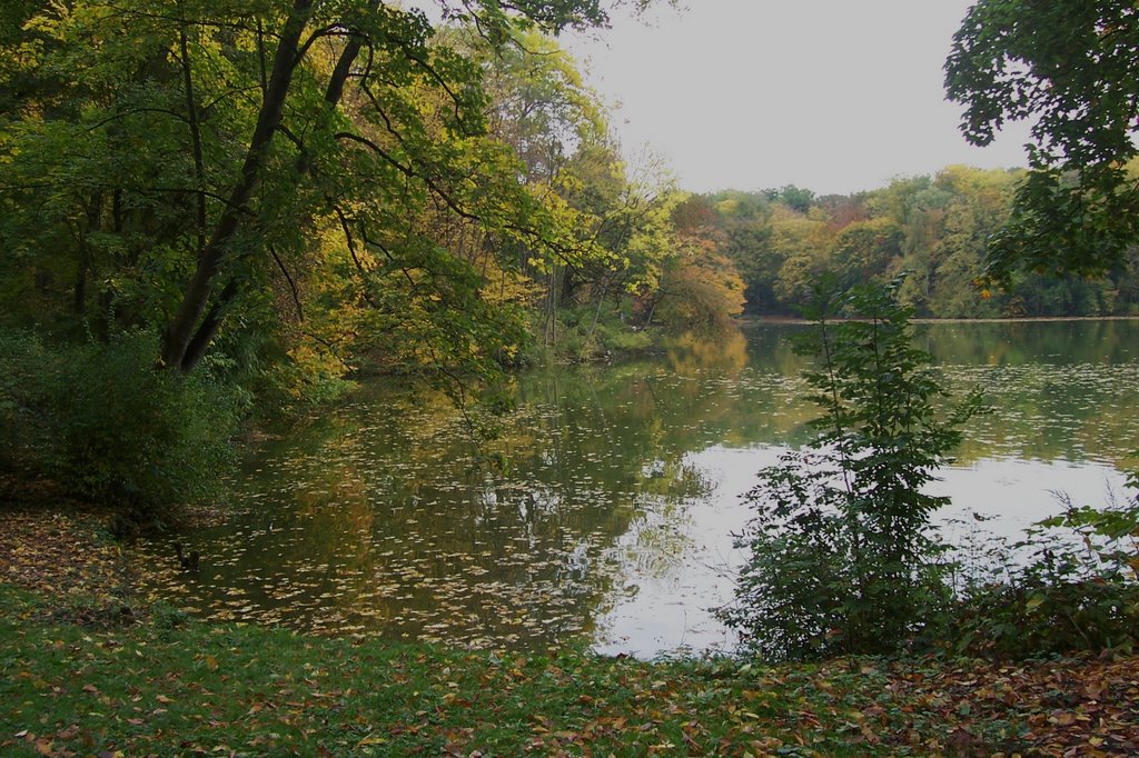 Hektisches Köln by gerd j.