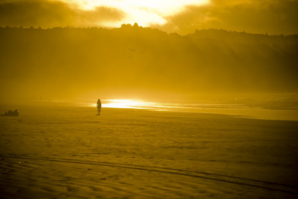 Ohope Beach Sunset by Al Ronberg