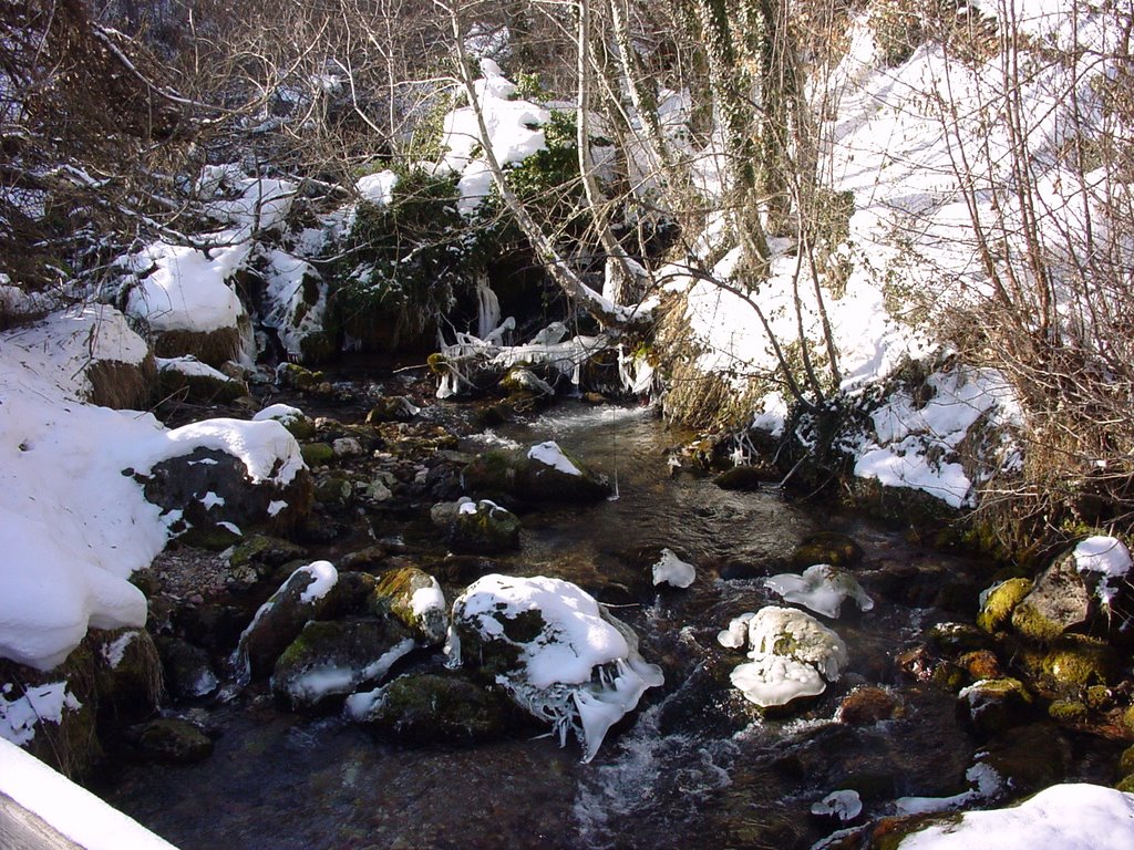 Vevcani Springs at Winter by pkocovic