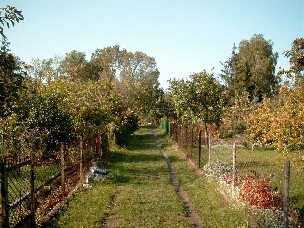 Ogródki działkowe, 2008.10.05 by Subbile