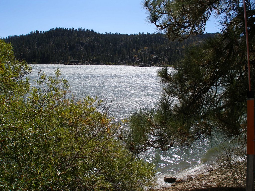 Big Bear Lake - Wind Wave by Picture America