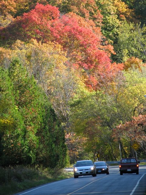 Rouge Valley, Toronto by Pat Ng