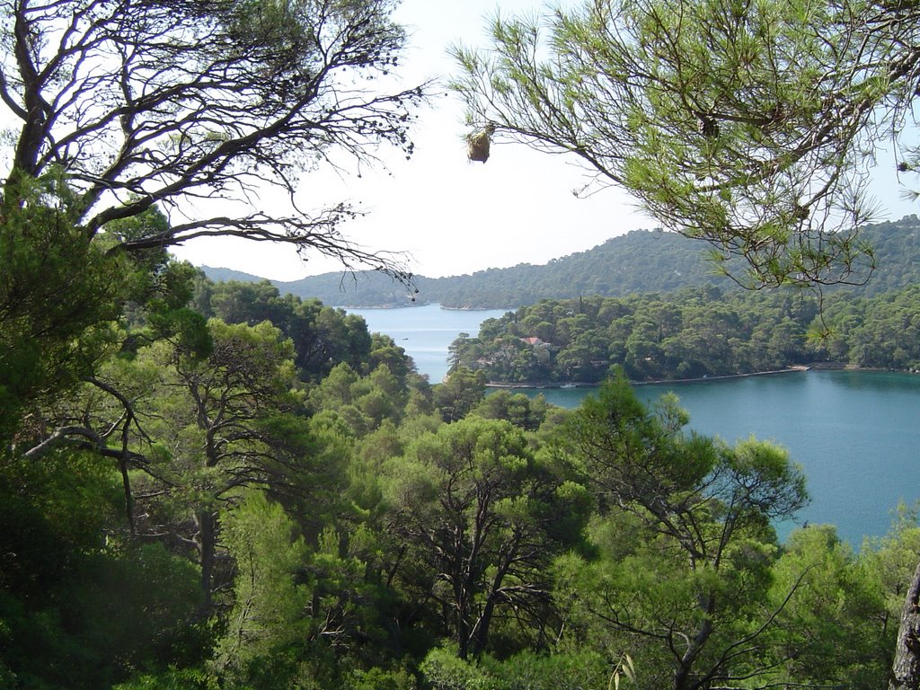 Mljet Veliko jezero by István Csepela