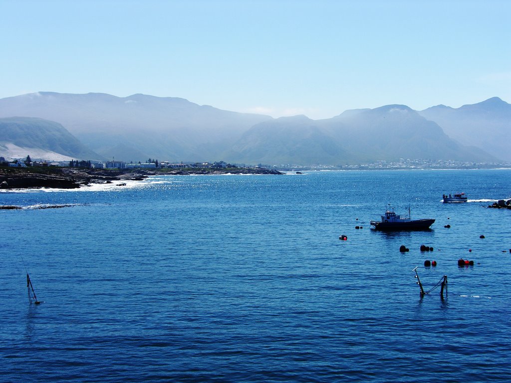 Masts of sunken vessel, New Harbour, Hermanus by BARRY VILJOEN