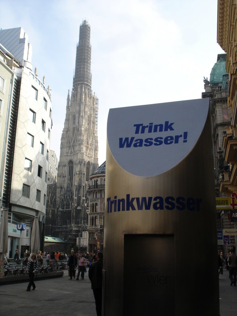 Wien, Niemals durstig am Stephansdom by HarryAusdemharz