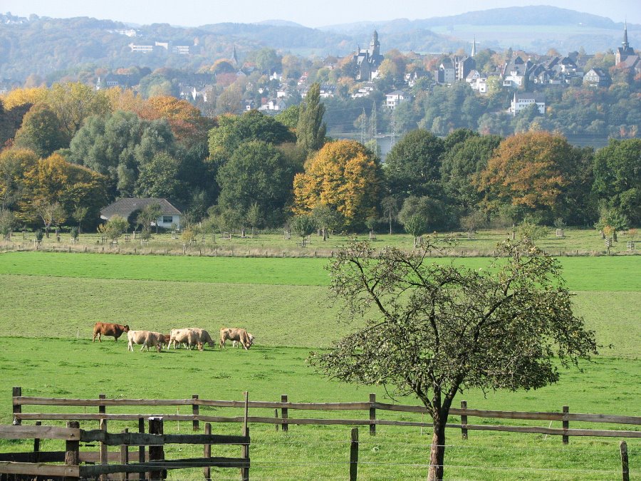 Stadt Wetter von Brockhausen by Dieter Möller