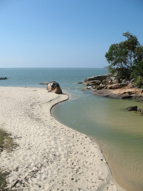 Meromictic lake, penang national park...where sea flows into river by dyoie