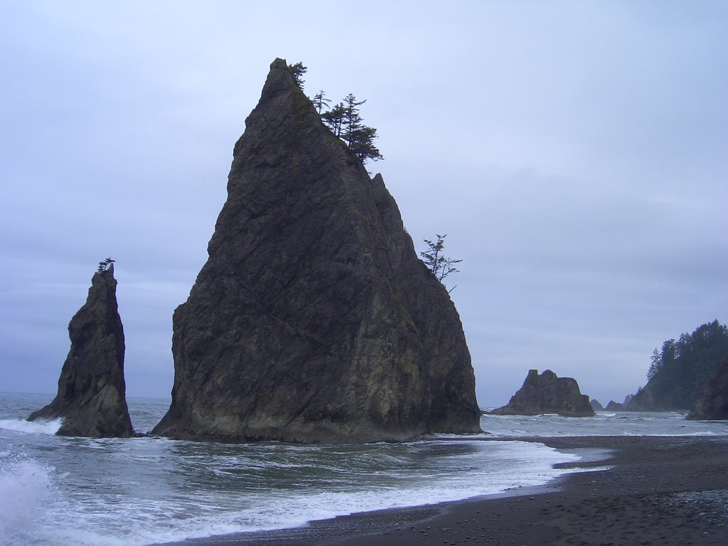 Rialto Beach - Olympic National Park - Washington (3708) by Felix M.