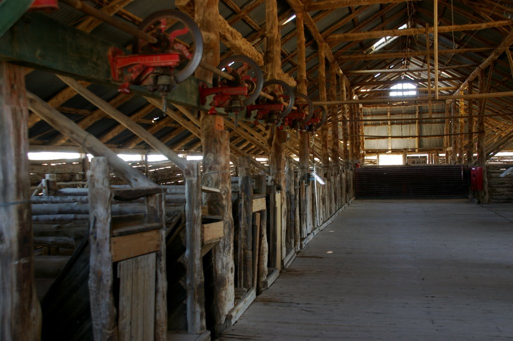 Lake Mungo shearing shed by James Vickers