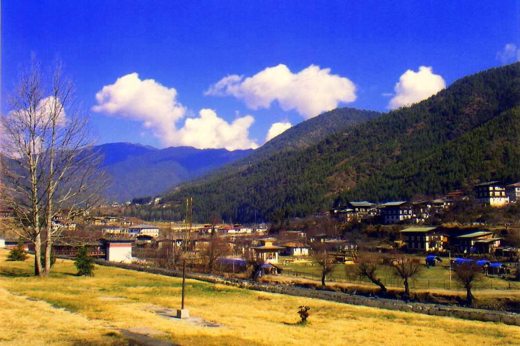 Thimphu ,Bhutan 12/2006 by F. Zaman