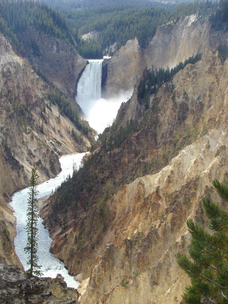 Grand Canyon of the Yellowstone by Ge Nielissen