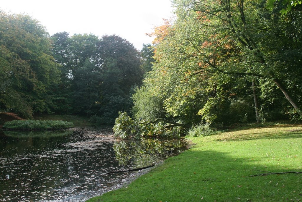 Sterenbos in the Autumn by Matthew Hurley