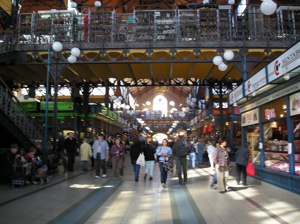 Vásarcsarnok, Mercat Central. Budapest 2008 by Montse AM