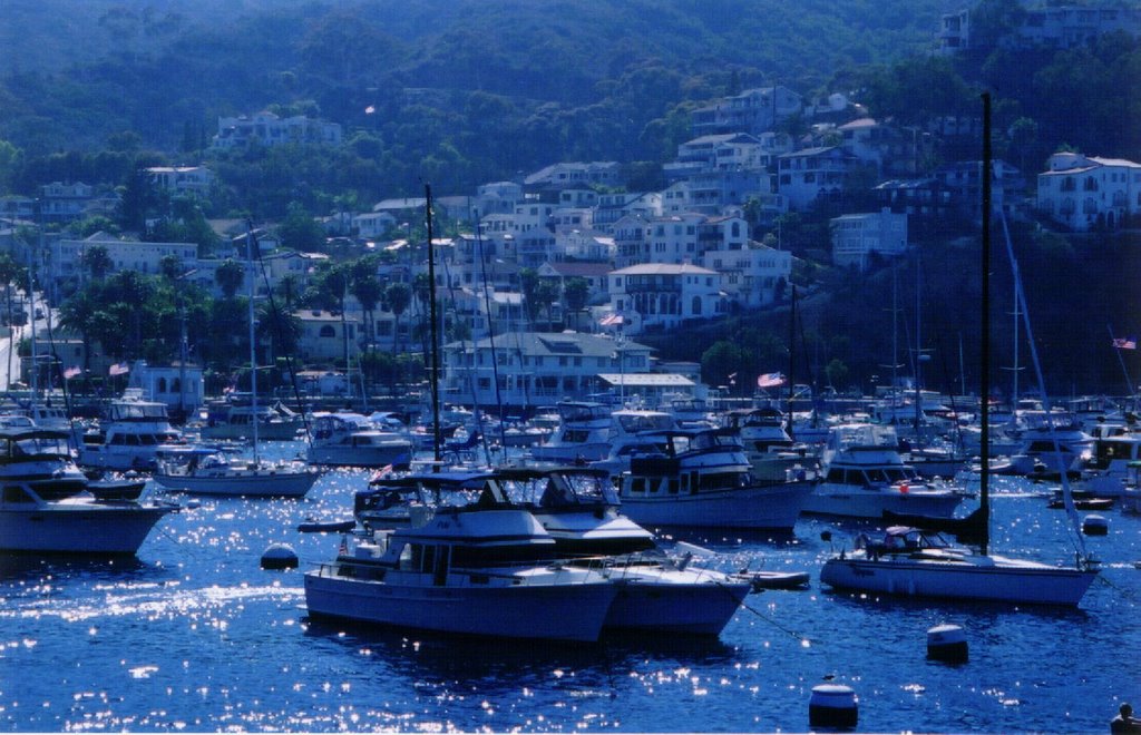 Avalon Bay, Catlina Island, CA by Nick Marten