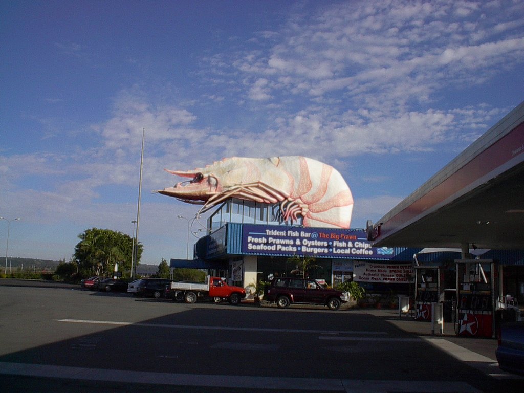 Big Prawn by www.gowlett-photography.com