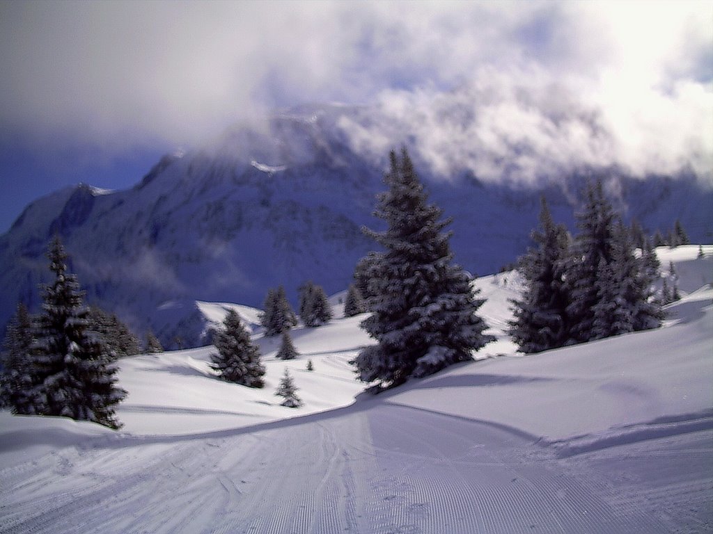 Les houches Pistes by brosse-ravat jacquel…