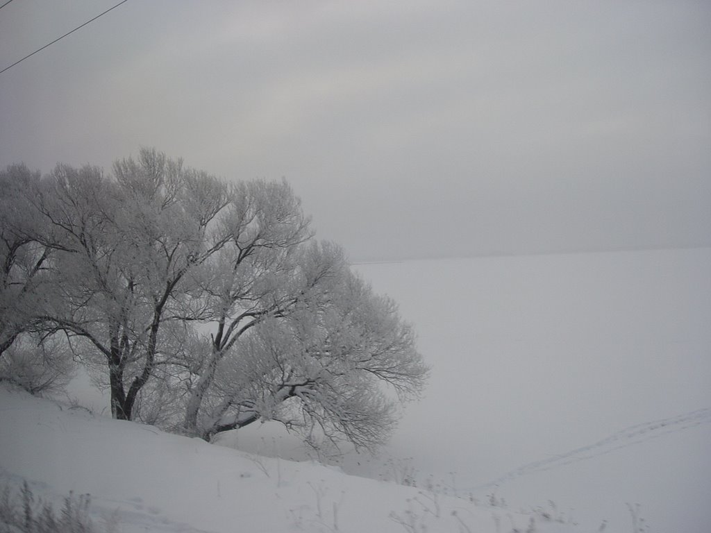 Winter sea by Nikolay Alexandrov