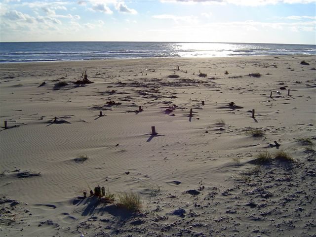 Plage by stephane langlois