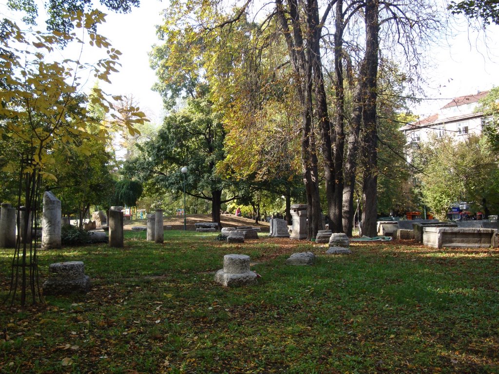 Ancient stones in Doctor's Garden by Marty