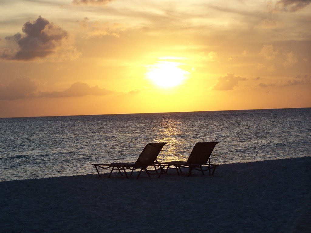 Sunset Chairs Divi by wptamo