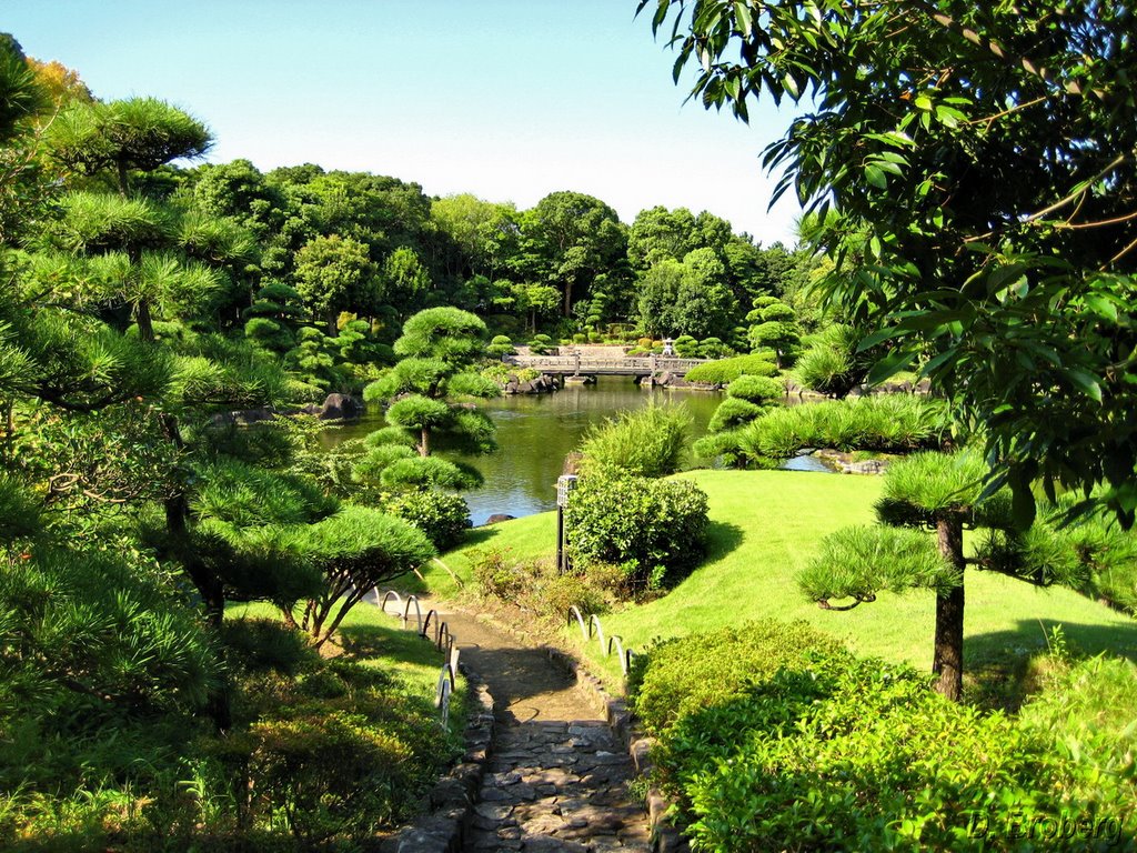 Mihama-en Japanese Garden by D.Broberg