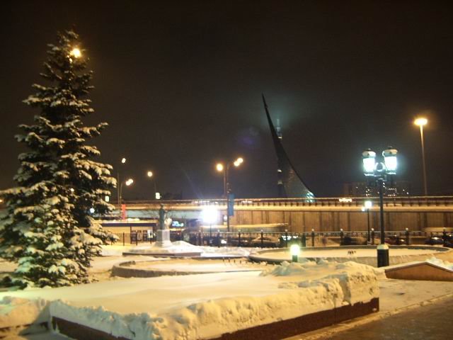 Зимний вид от гостиницы "Космос" / Winter view from the hotel "Cosmos" by Olga Perkalska