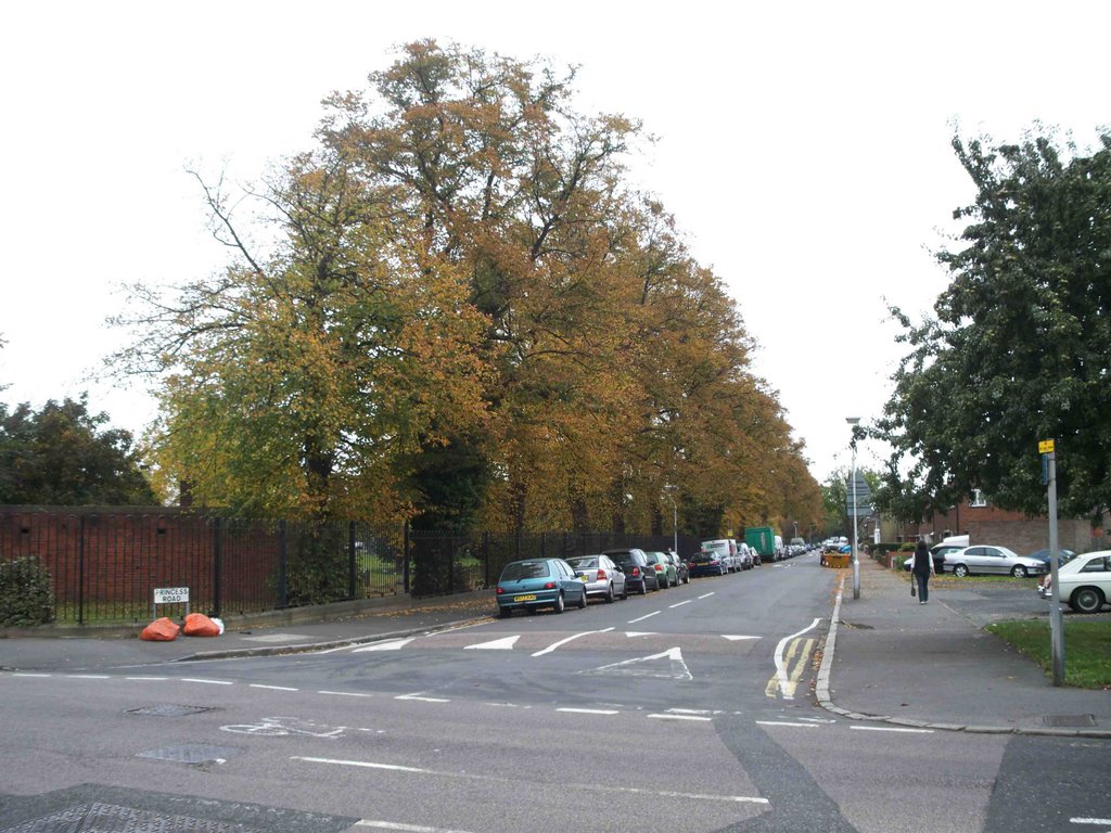 Autumn 2008, Croydon by Mohammad Aslam Javed Bhatti by Aslam Javed