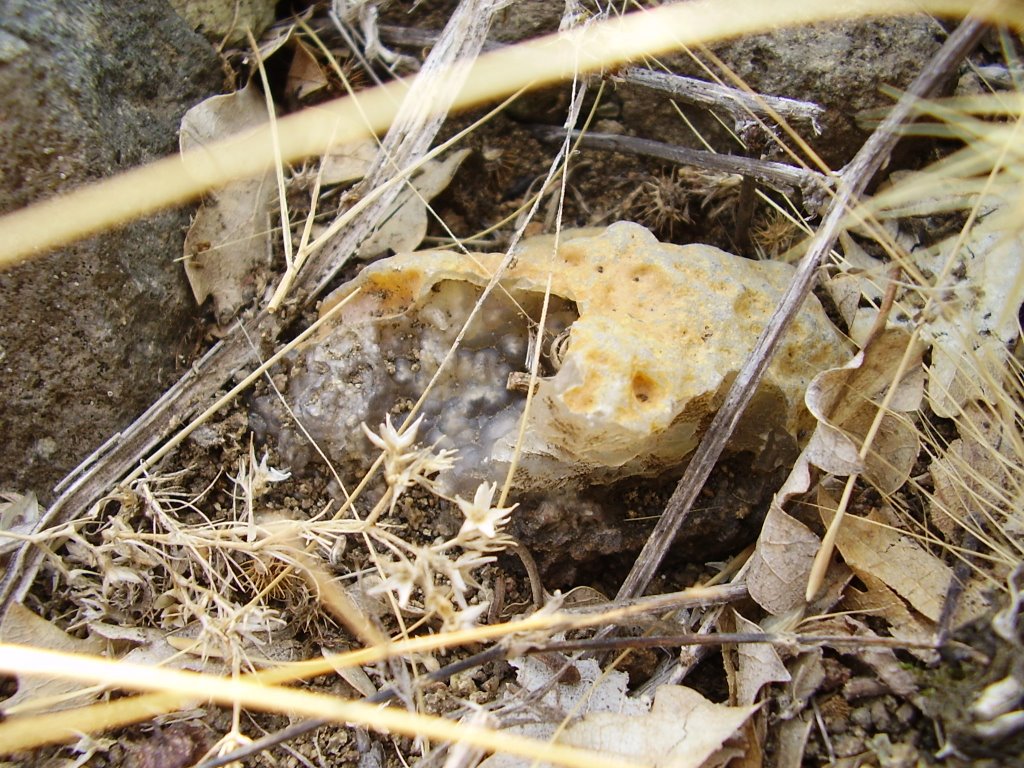 Sagenite agate, Bulgaria by виктор йорданов