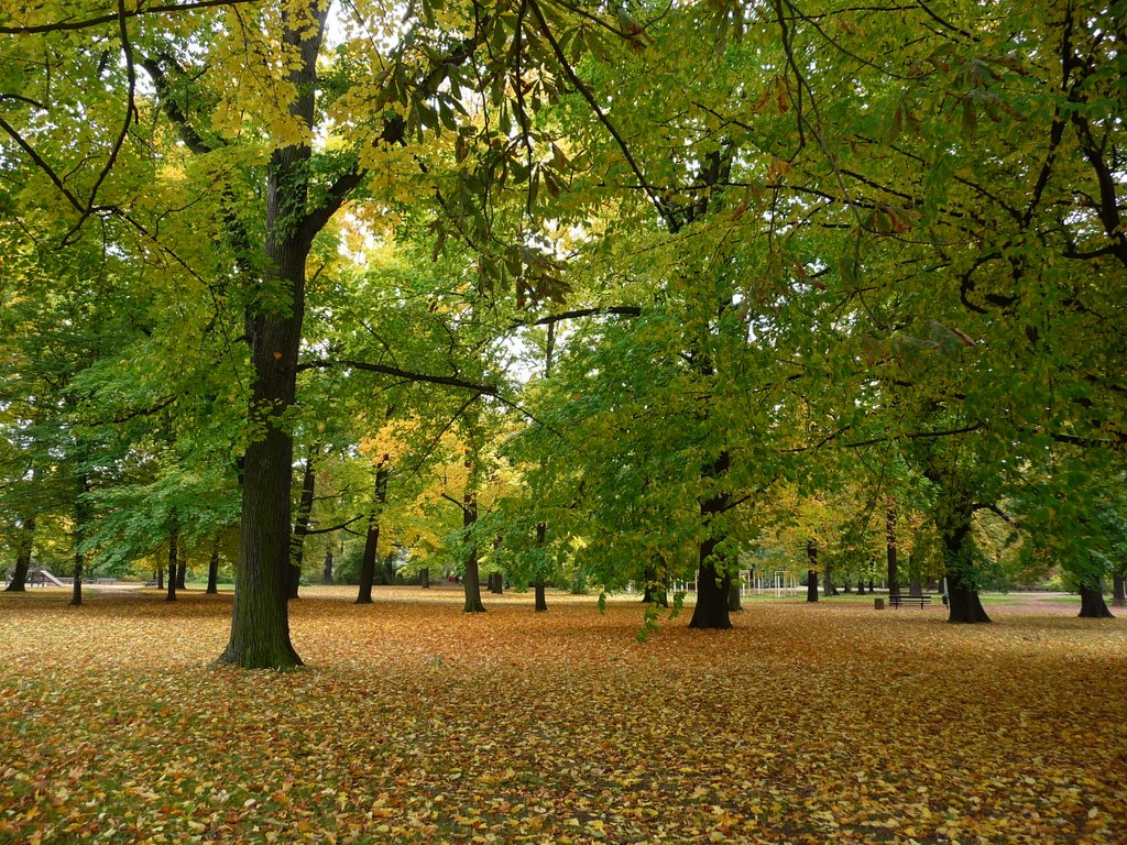 Blüherpark im Herbst by BärMi