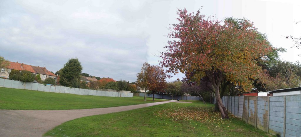 Autumn 2008, Croydon by Mohammad Aslam Javed Bhatti by AslamJaved Bhatti