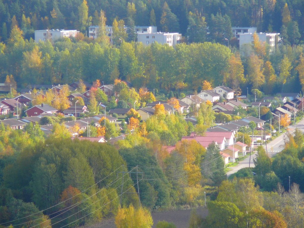 Moisionpelto,Lohja by Matti Henrik