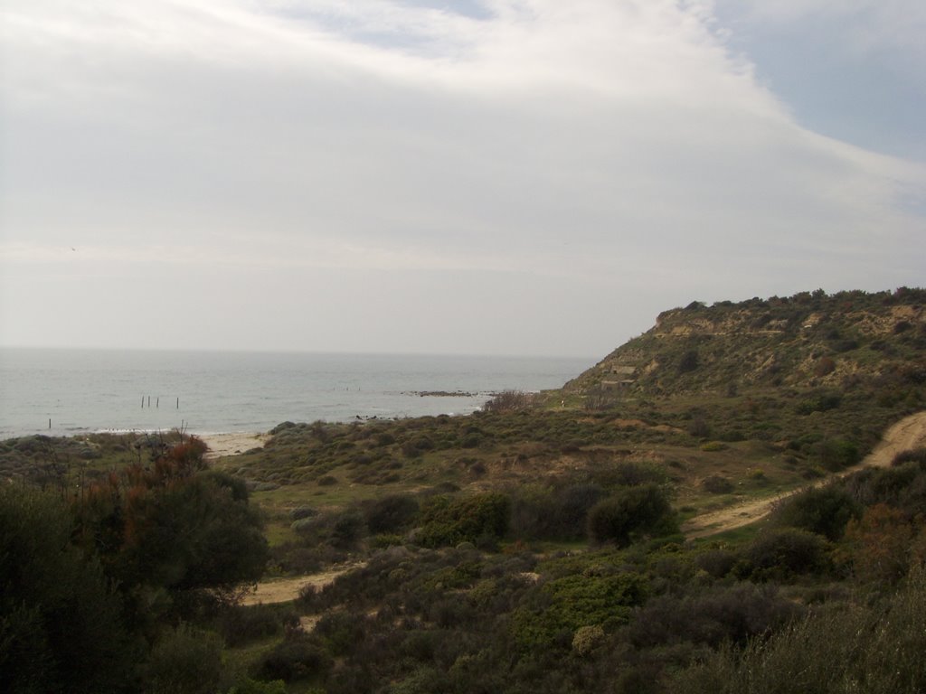 Gallipoli (lancashire landing ) by özgür sevim