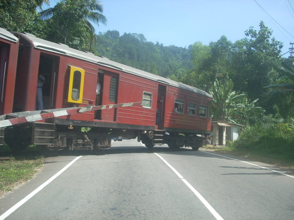 Podi menike express\Nawalapitiya by Saman Jayawardene