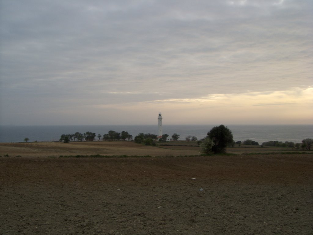 Gallipoli (light house) by kale1915