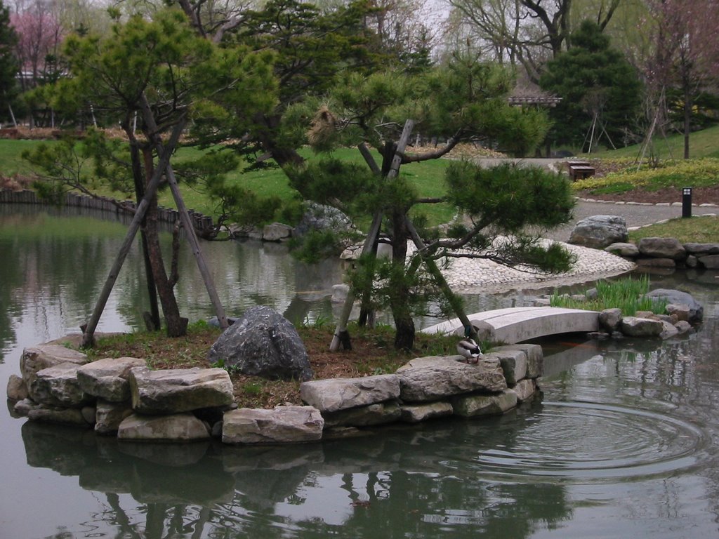 Pond in Nakajima Koen Park, Sapporo by HIRATA Yasuyuki