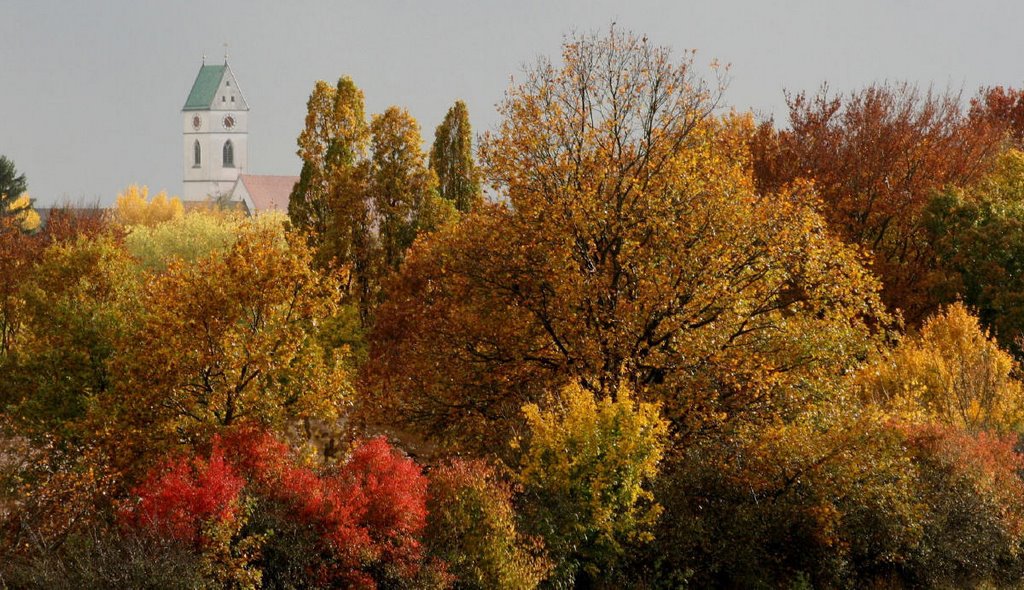 Riedlingen Kirchturm by LadyCG