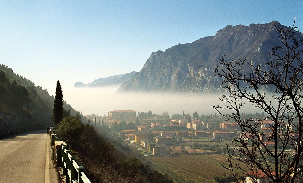 Gardasee im Februar - Torbole by Armin Menzer