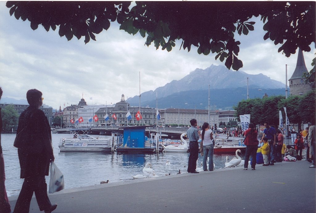 Lucerne by vek