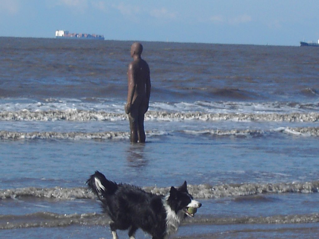 MY DOG ON BEACH by catherinek94