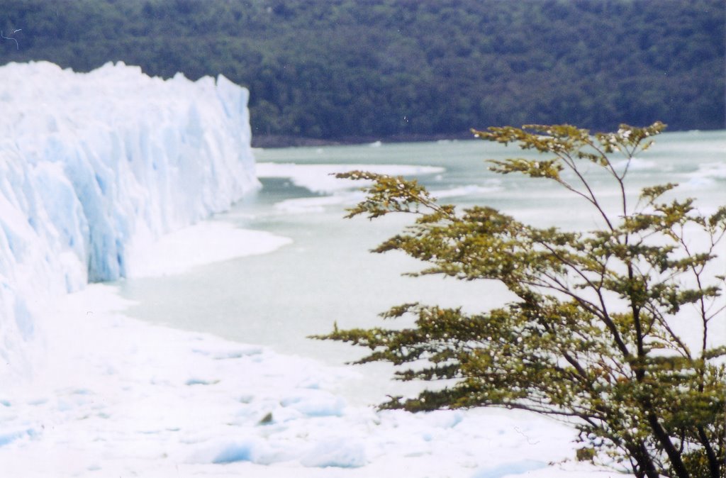 Glaciar Perito Moreno by Ser Viajero