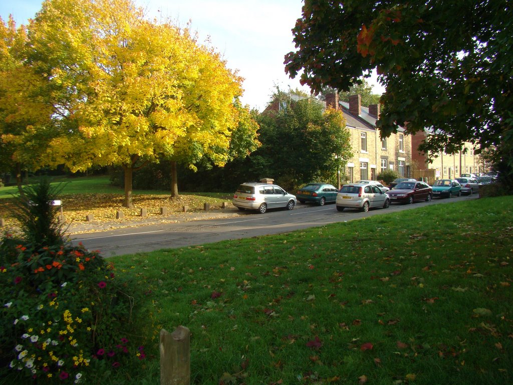 Bottom of Armistead Road next to Sothall Green, Sheffield S20 by sixxsix