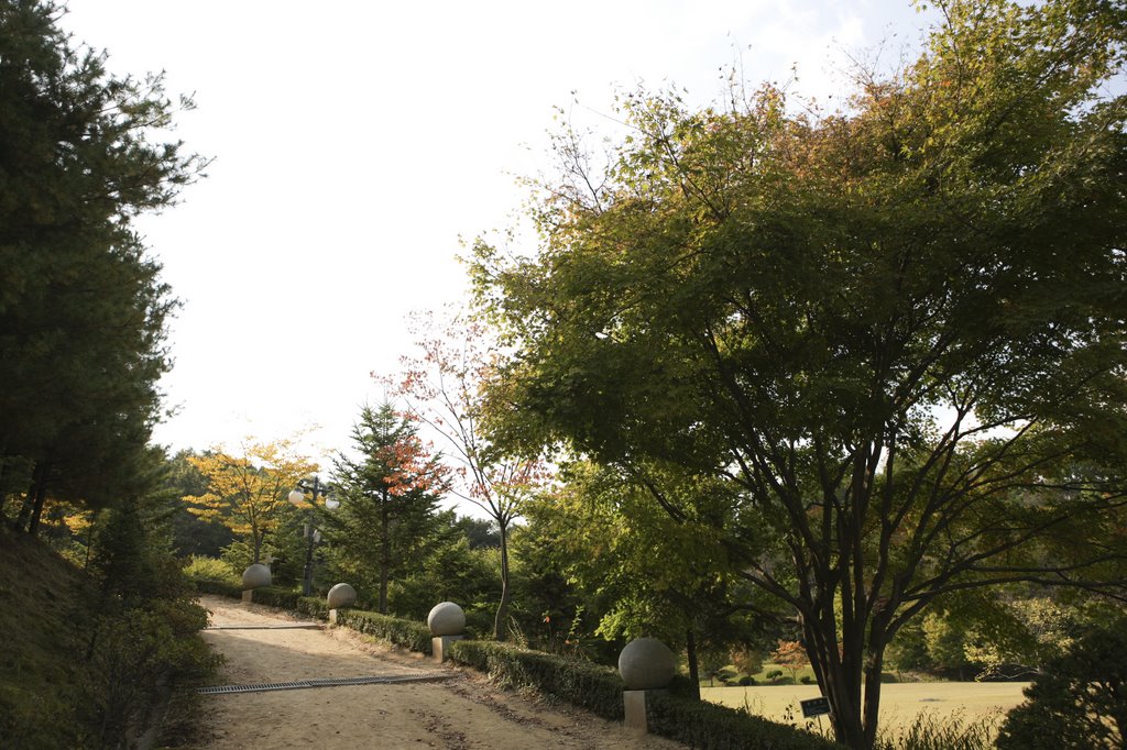 남양성모성지 The shrine of our Lady of Rosary of Namyang by Korea Tourism Org.