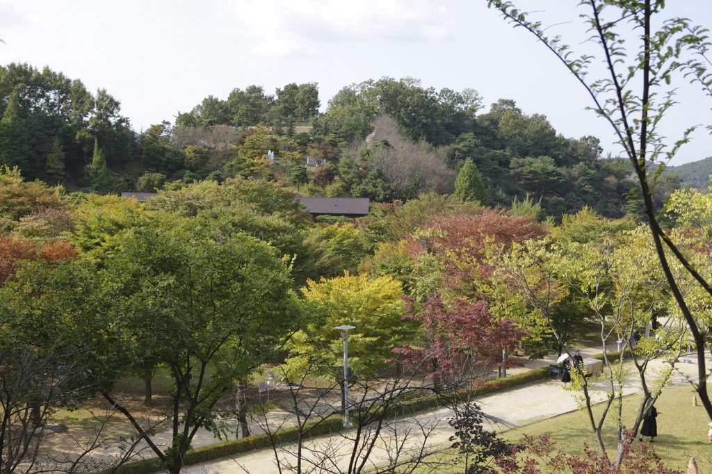 남양성모성지 The shrine of our Lady of Rosary of Namyang by Korea Tourism Org.